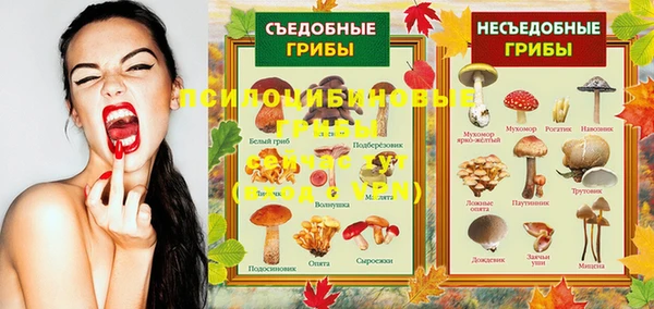 молекула духа Алексеевка