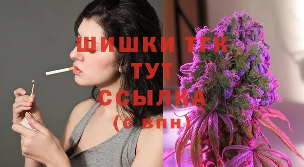 молекула духа Алексеевка