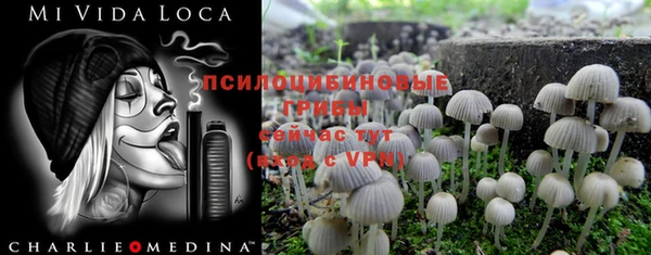 альфа пвп Алзамай