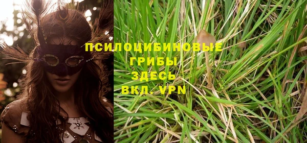 бутират Няндома