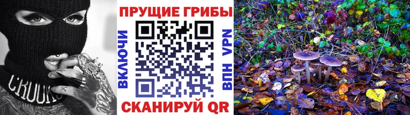 Галлюциногенные грибы прущие грибы  Обнинск 