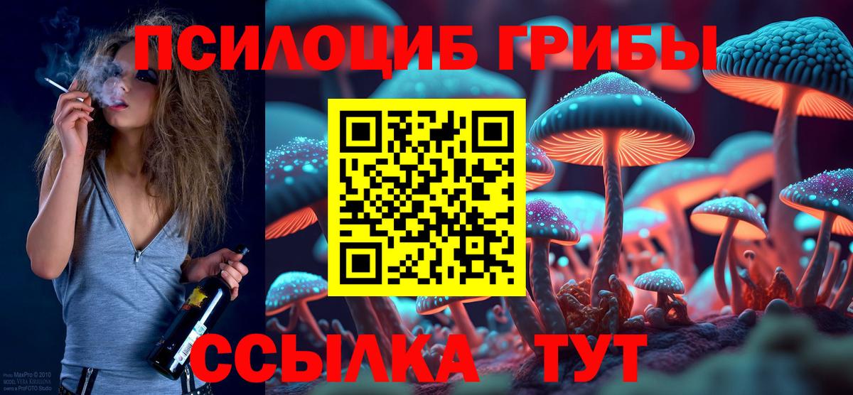 Галлюциногенные грибы Psilocybe Обнинск