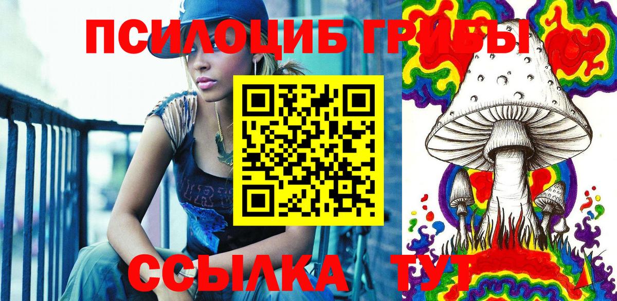 Обнинск  купить   Вход с VPN  Псилоцибиновые грибы Psilocybine cubensis 